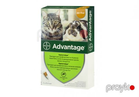 Damcı Bayer Advantage pişik balaları üçün birə əleyhinə 4 kq qədər, 4x0.4 ml, qiymət 1 ədəd üçündür — Bakı