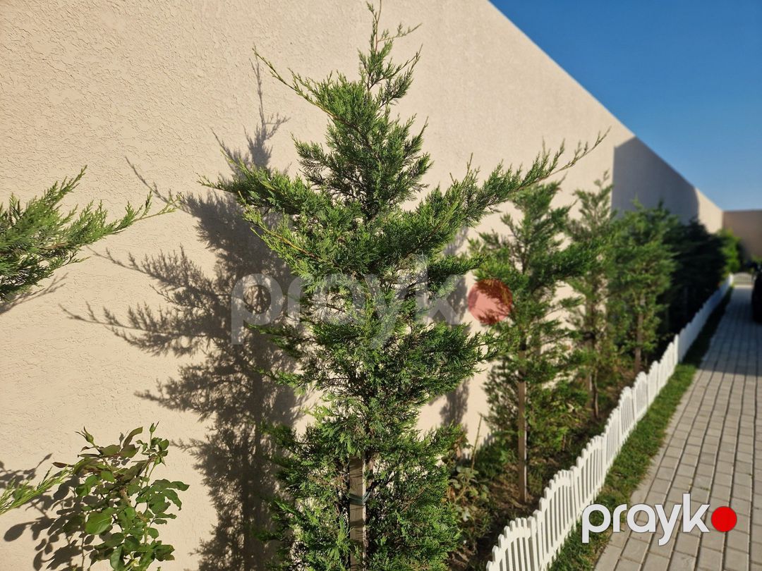 Bağ evi, Türkan qəs — Ev, villa, Bakı (7)