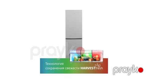 Soyuducu "Beko B1RCNK362S" — Bakı