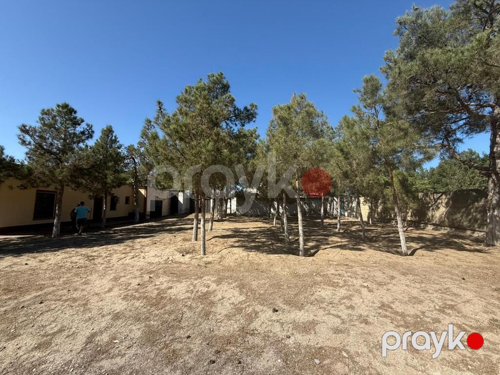 Satılır torpaq 24 sot — Torpaq, Bakı (7)
