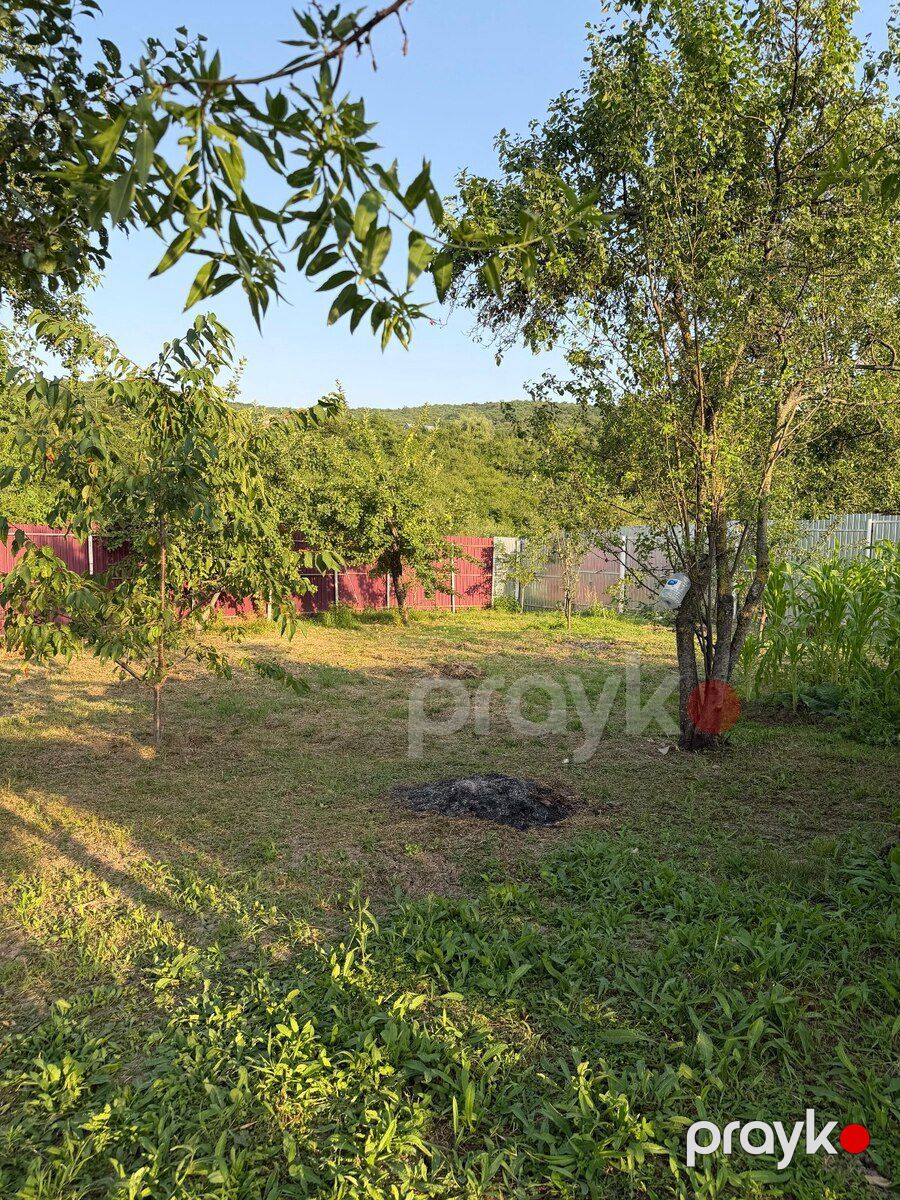 Bağ evi kirayə verilir, Şabran r — Ev, villa, Şabran (8)