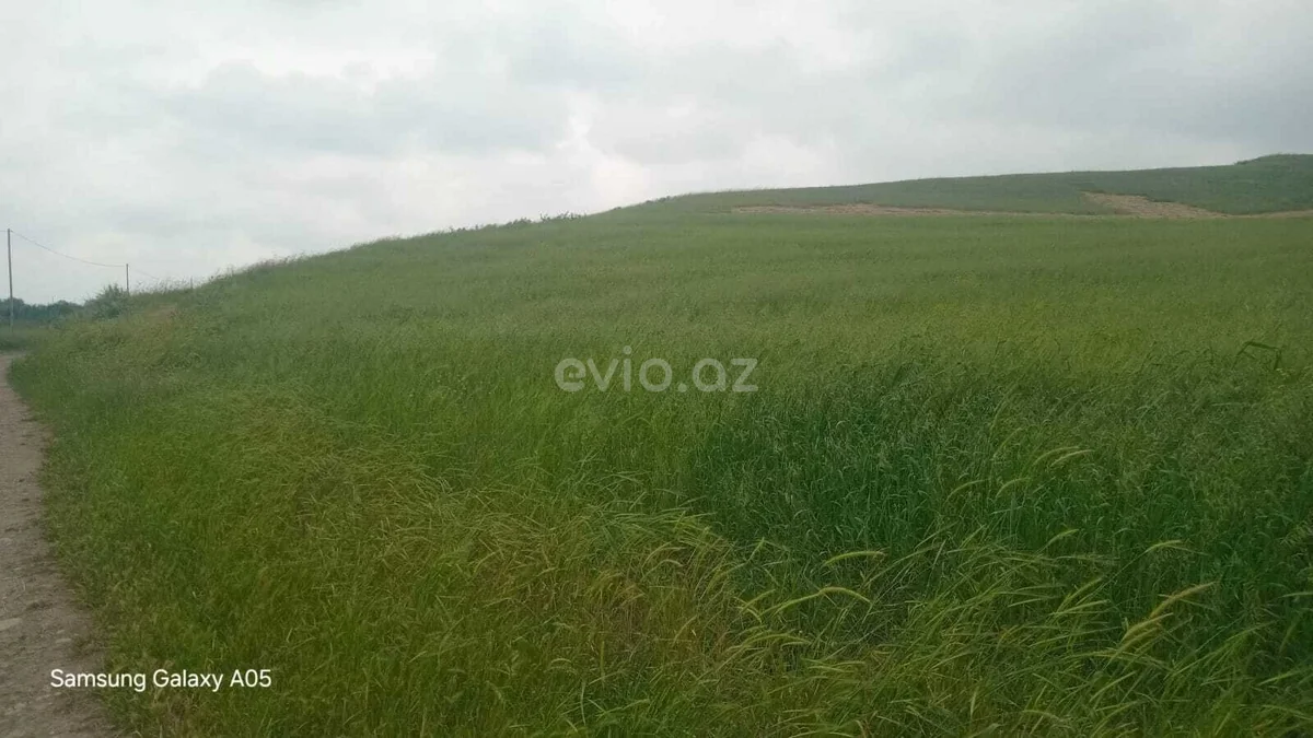 Torpaq sahəsi satılır Şabranda — Torpaq, Şabran (6)