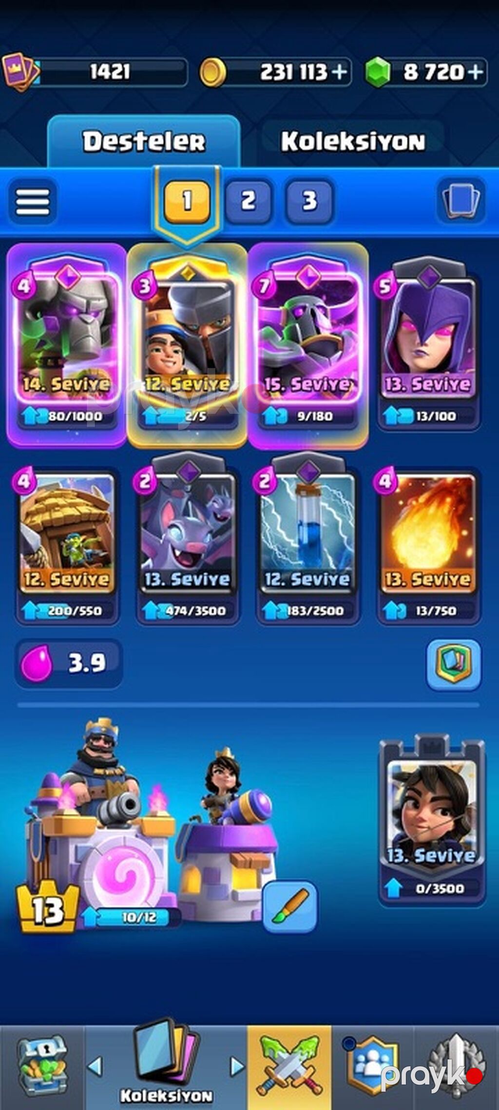 Clash Royale oyun hesabı – eInur5555 - Klan: “Beyaz Ölüm” (Böyük) — Şəxsi əşyalar, Masazır (9)