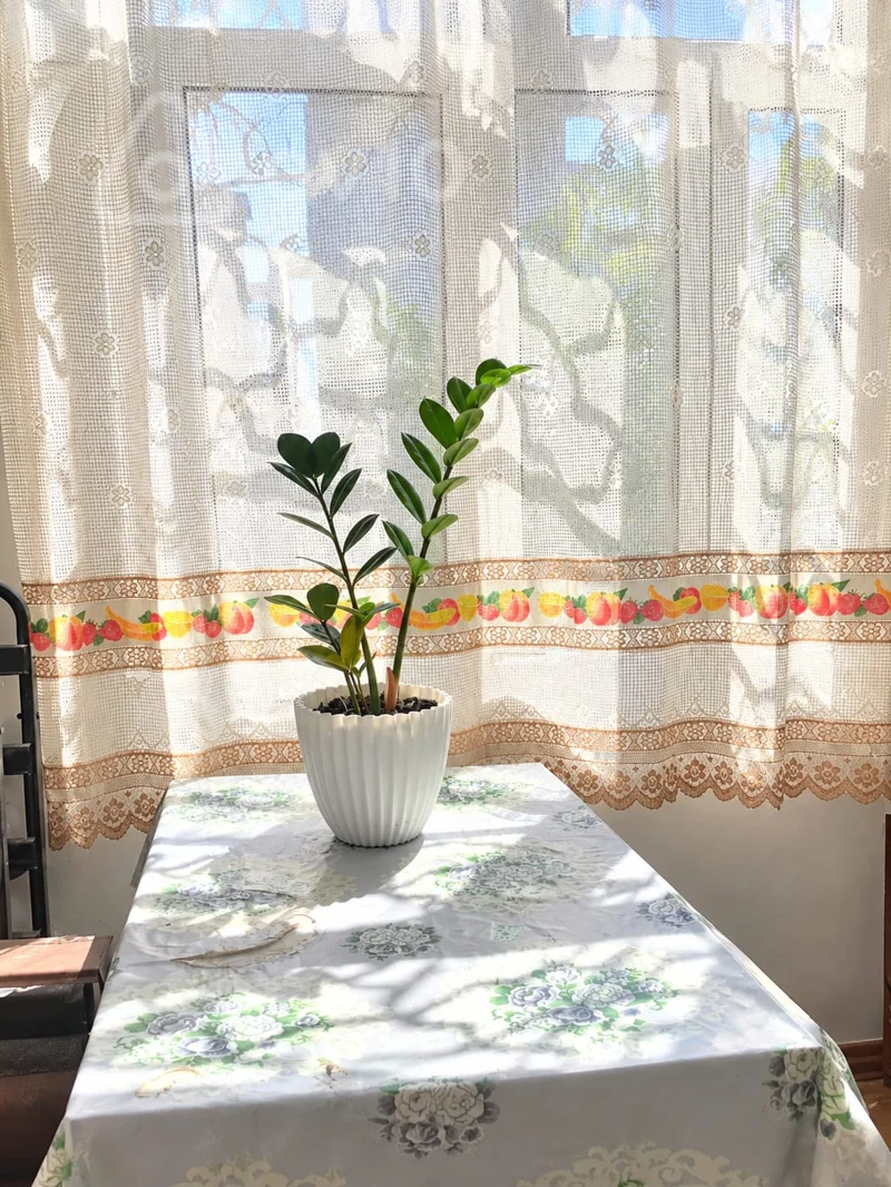 2 otaqlı mənzil, 50 m², Bakı Zahid Xəllilov K — kirayə — Mənzil, Bakı (8)