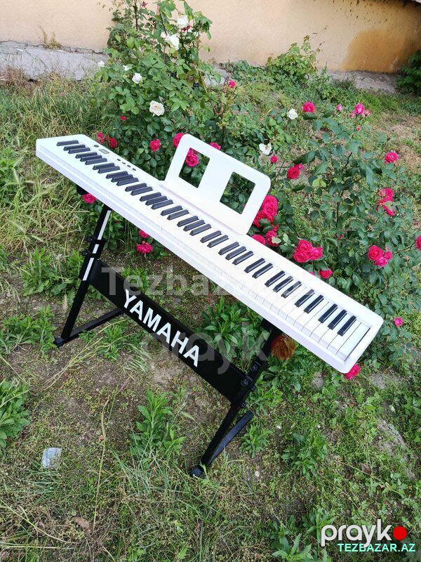 Elektro pianino — Digər, Bakı (2)