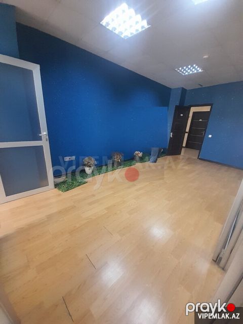Nərimanov rayonunda 3 otaqlı Ofis Kirayə verilir, 110 m² — Bakı