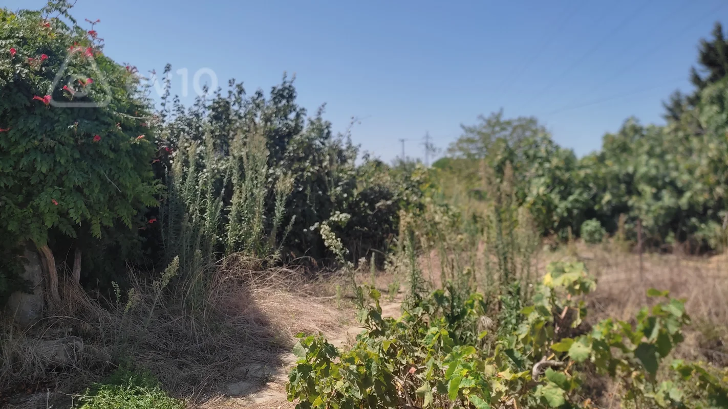 Torpaq sahəsi, 7.1 sot, Albalı 322N məktəbdən Aidaparka gedən yolun üstündə — Bakı