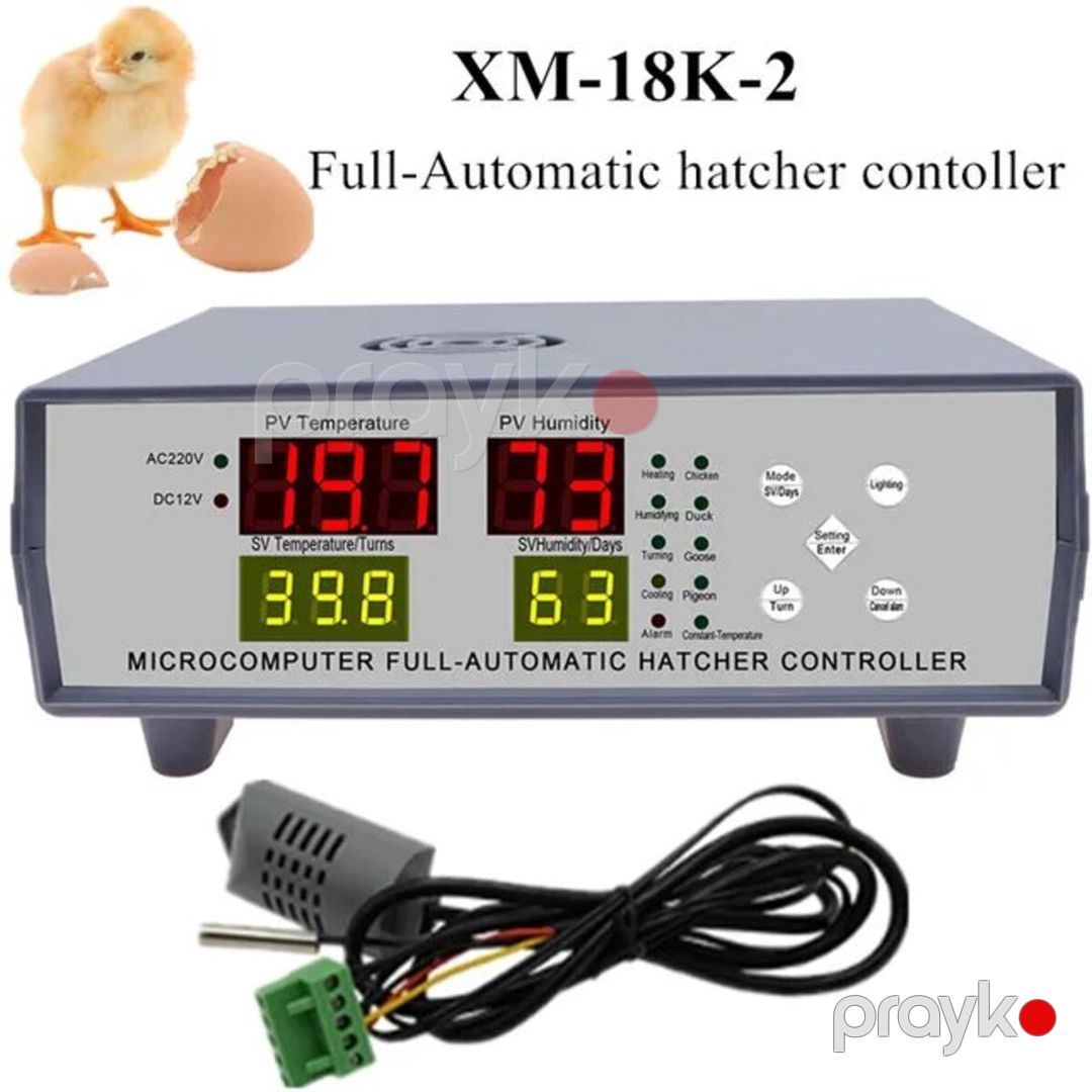 Avtomatik inkubator beyni — Biznes və avadanlıq, Bakı (10)