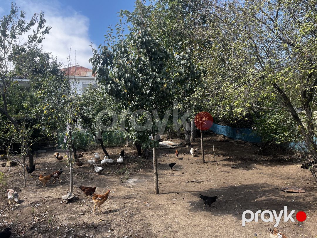 4 sot torpaq sahəsi, Lerik r — Torpaq, Lerik (8)