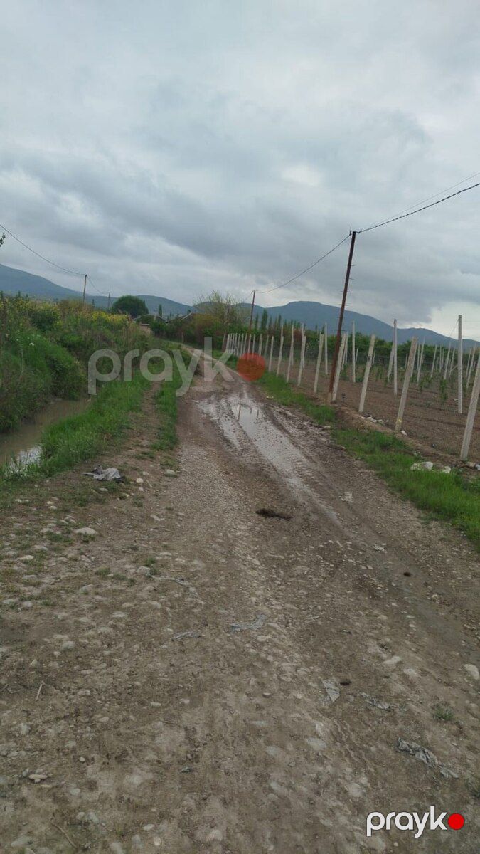 567 sot torpaq sahəsi, Şabran r — Torpaq, Şabran (8)