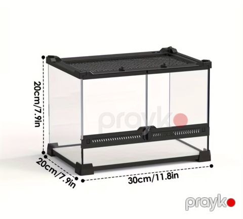 Terrarium — Bakı