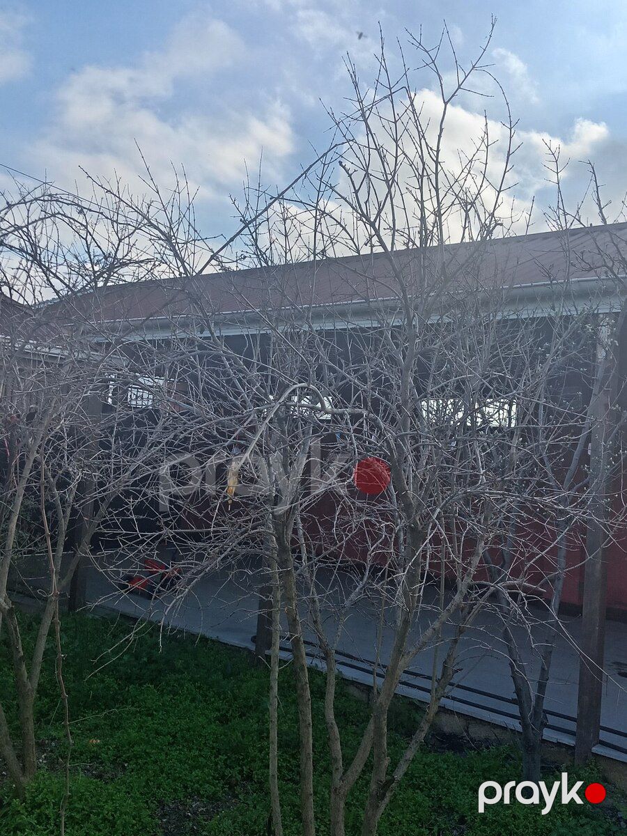 Həyət evi, Saray qəs — Ev, villa, Sumqayıt (7)