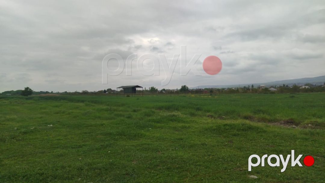 567 sot torpaq sahəsi, Şabran r — Torpaq, Şabran (2)