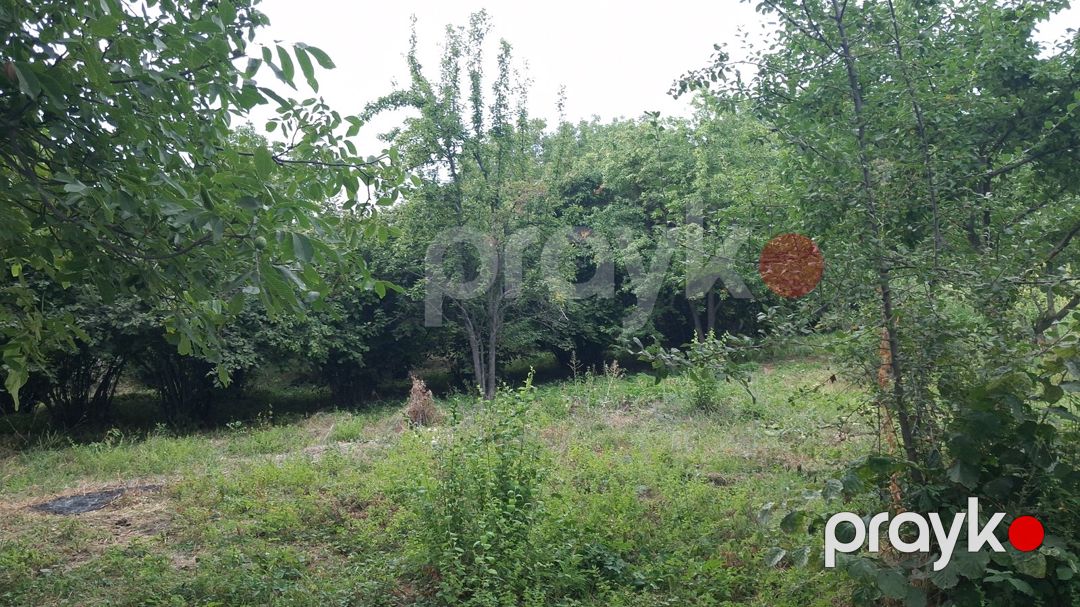 20 sot torpaq sahəsi, İsmayıllı r — Torpaq, İsmayıllı (5)