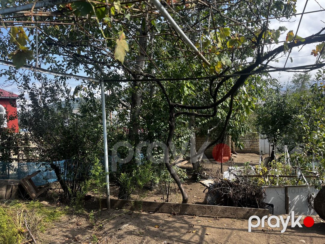 4 sot torpaq sahəsi, Lerik r — Torpaq, Lerik (2)