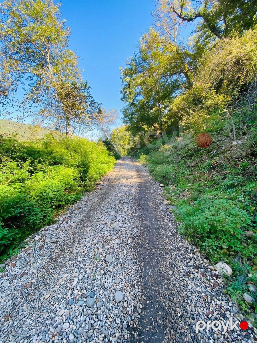 Satılır torpaq 6 sot — Torpaq, Qusar (3)