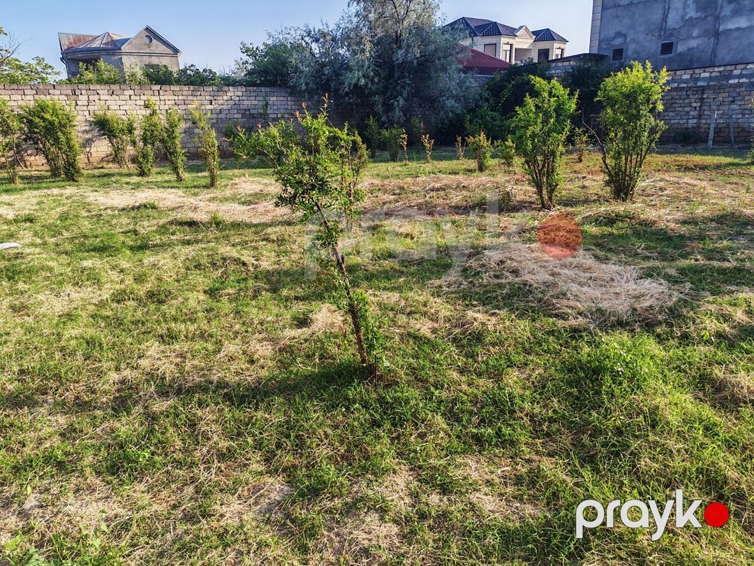 Satılır torpaq 3 sot — Torpaq, Bakı (2)
