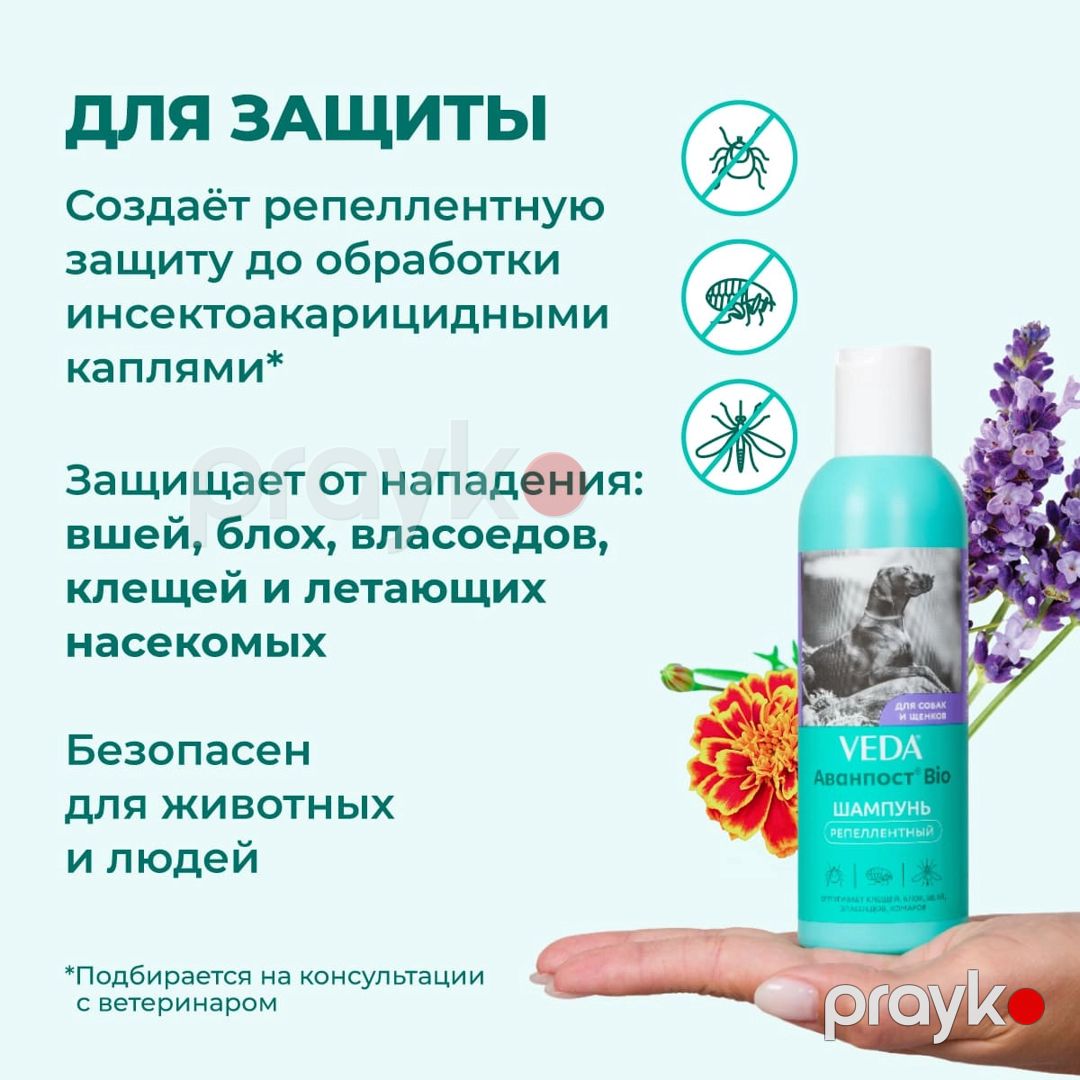 İtlər üçün şampun Veda, 200 ml — Mallar, Bakı (3)