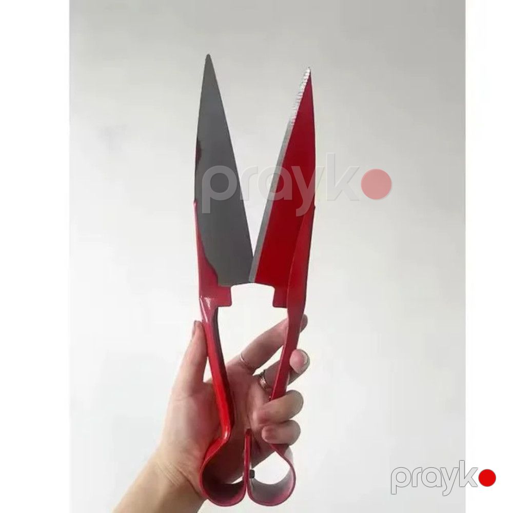 Qayçı qoyun qırxmaq üçün İL-2511 — Mallar, Bakı (2)