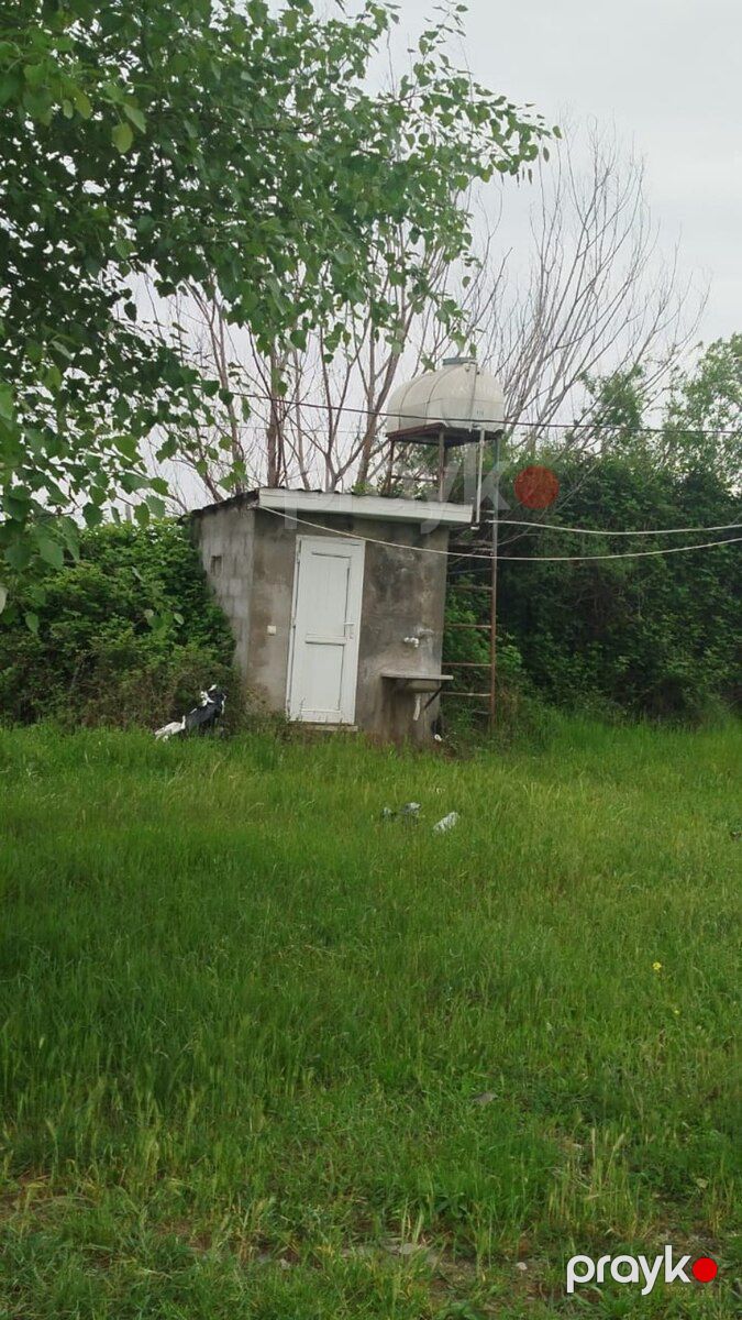 567 sot torpaq sahəsi, Şabran r — Torpaq, Şabran (6)