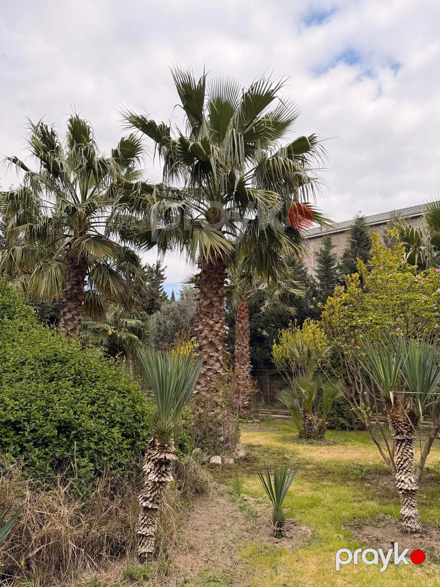 Satılır 10 otaqlı həyət evi/bağ evi 600 m² — Ev, villa, Bakı (2)