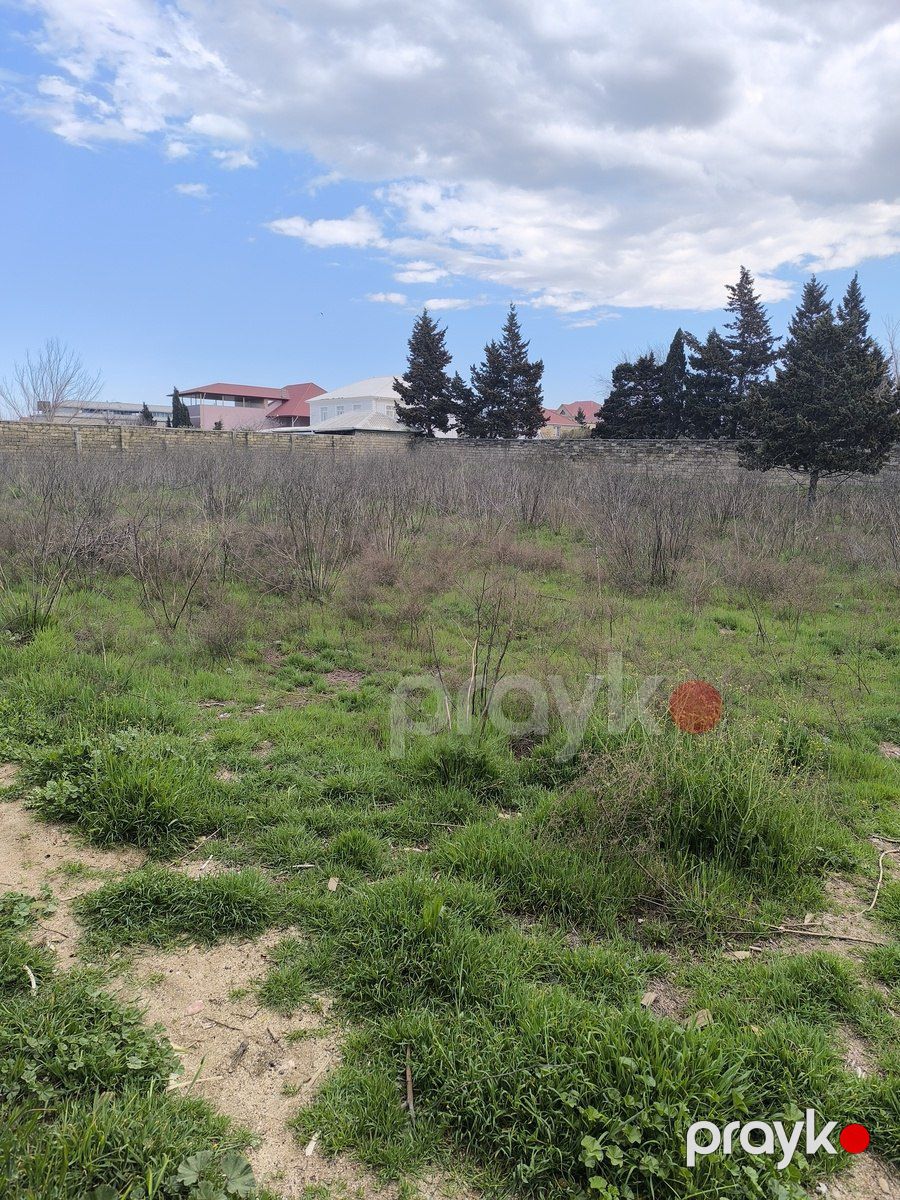 Satılır torpaq 24 sot — Torpaq, Bakı (5)