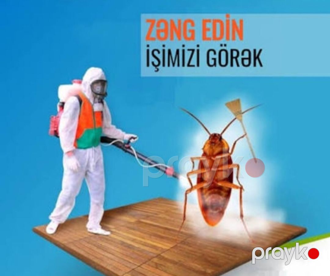 Həşəratların təmizlənməsi — Digər, Xırdalan (3)