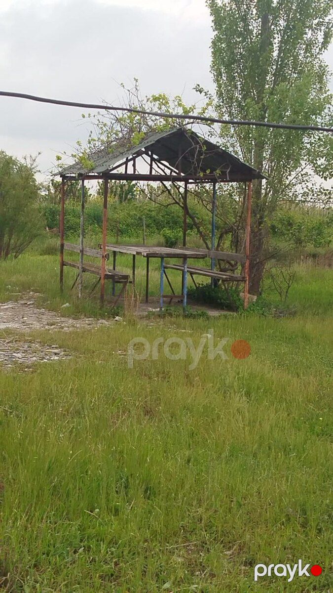 567 sot torpaq sahəsi, Şabran r — Torpaq, Şabran (4)