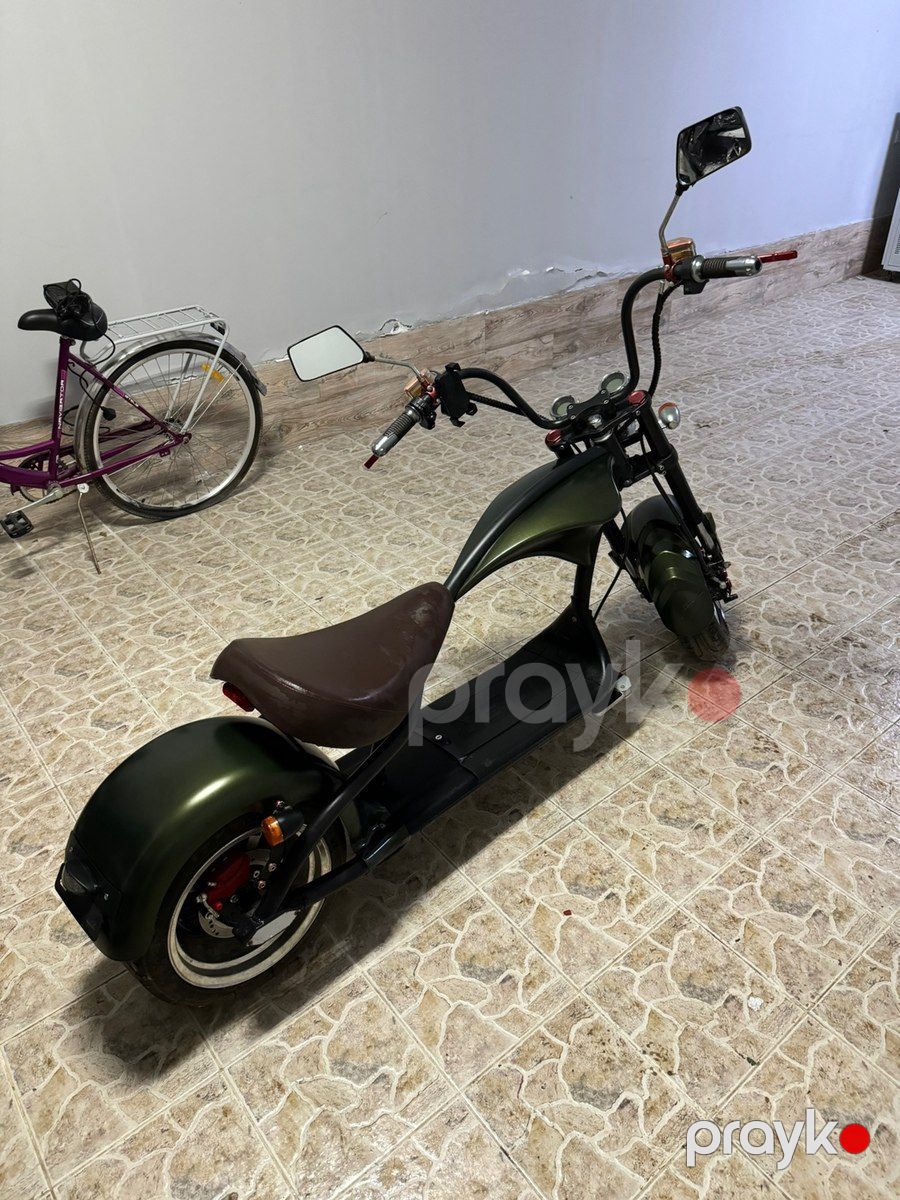 Citycoco Scooter C03A, 2019 il — Motosiklet və mopedlər, Bakı (2)