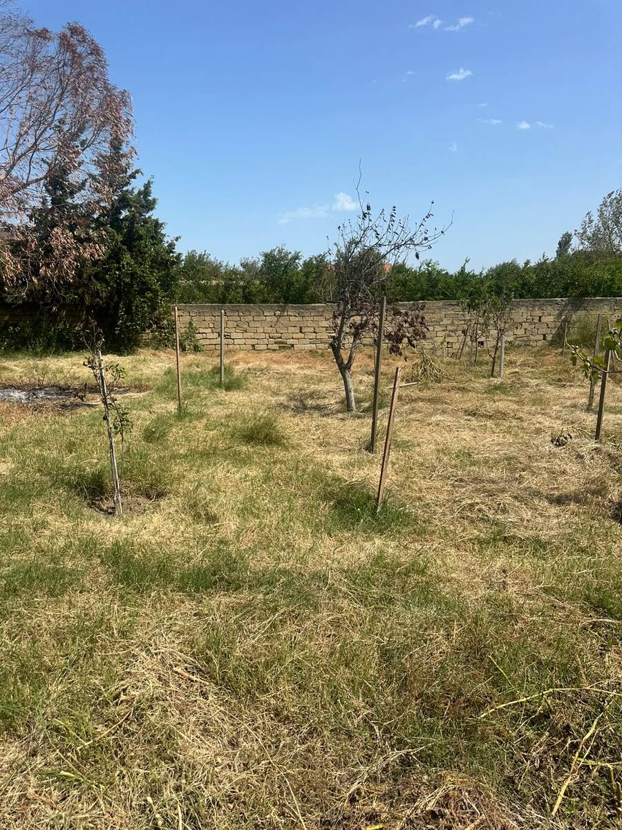 Satılır torpaq 4 sot — Torpaq, Bakı (6)