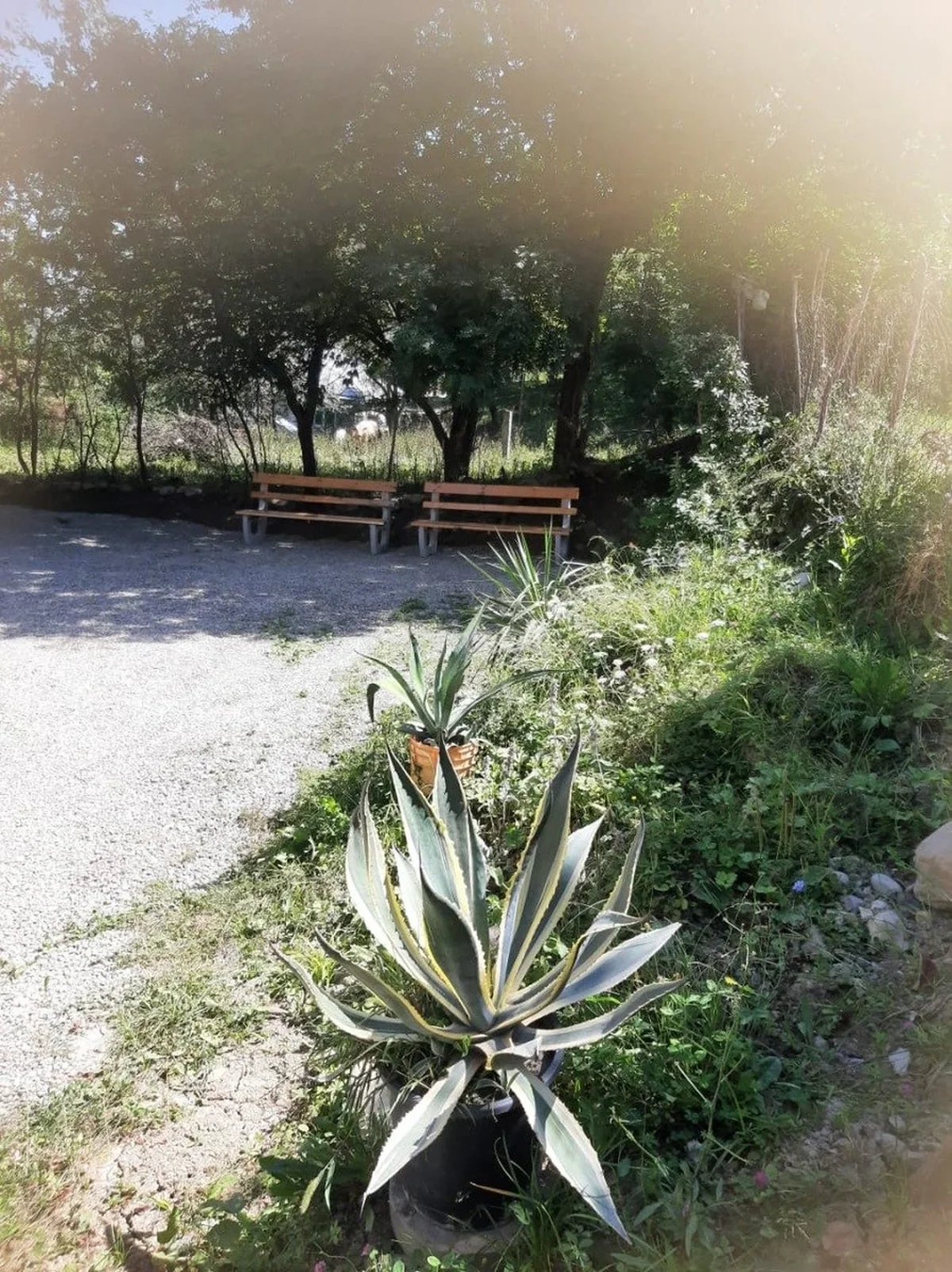 Kirayə 4 otaqlı bağ evi Qubada — Ev, villa, Quba (4)