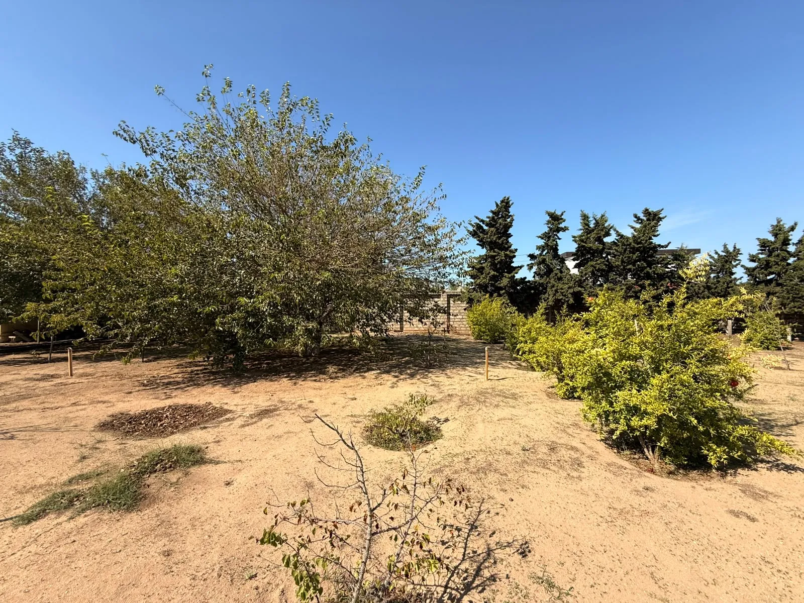 Mərdəkan, Torpaq satılır - 11 sot — Torpaq, Bakı (4)
