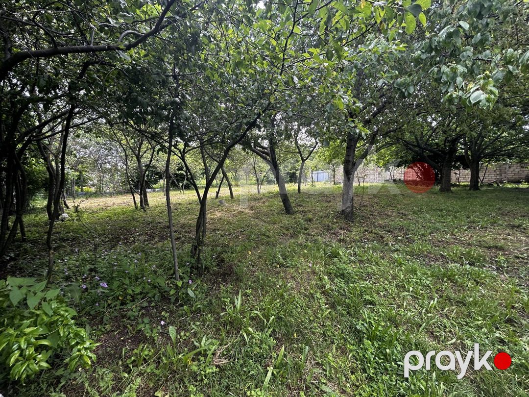 Satılır torpaq 6 sot — Torpaq, İsmayıllı (5)