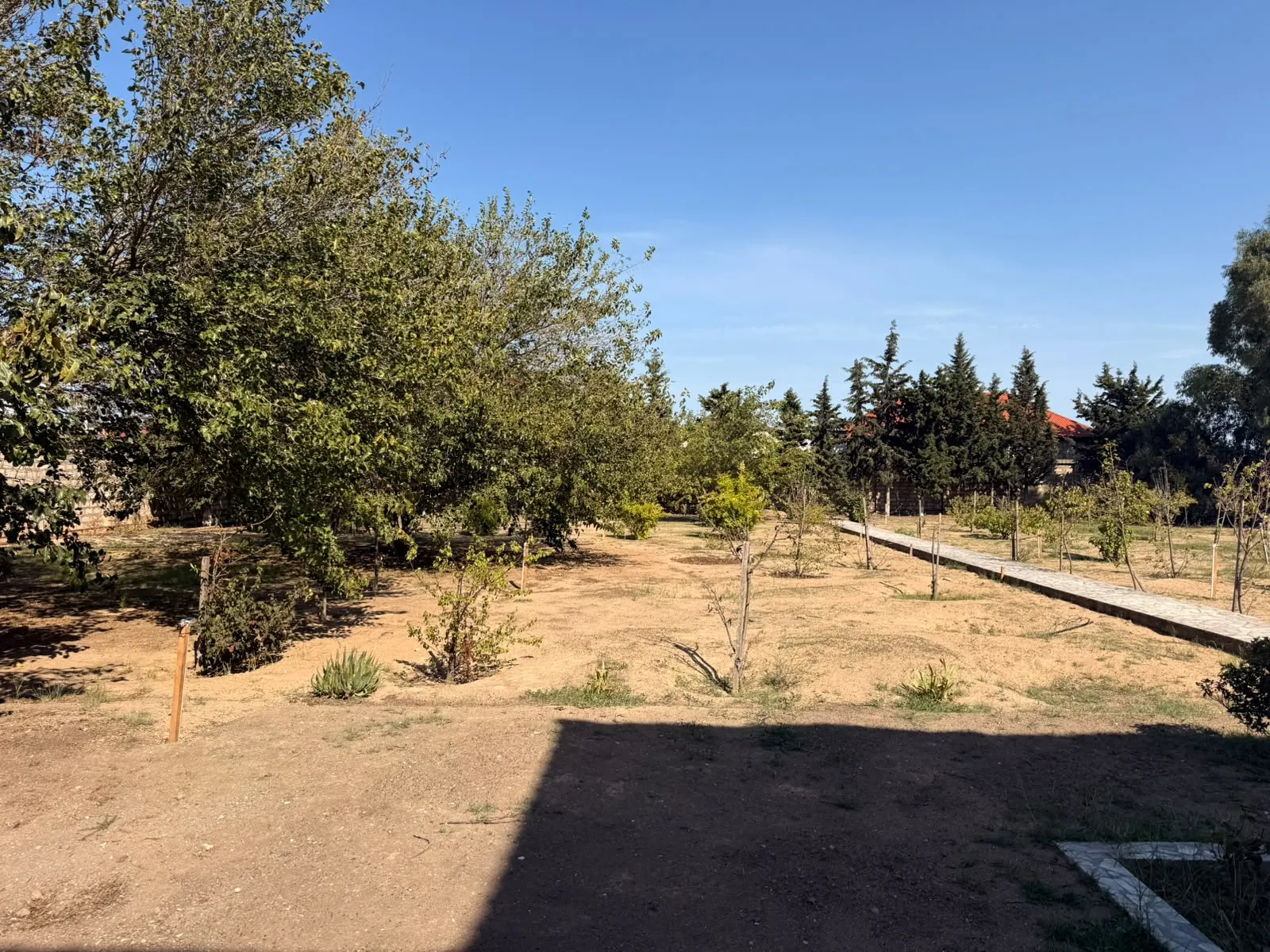 Mərdəkan, Torpaq satılır - 11 sot — Torpaq, Bakı (7)