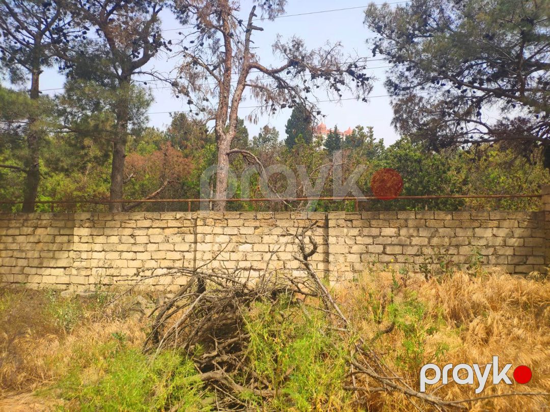 Satılır torpaq 4 sot — Torpaq, Bakı (5)