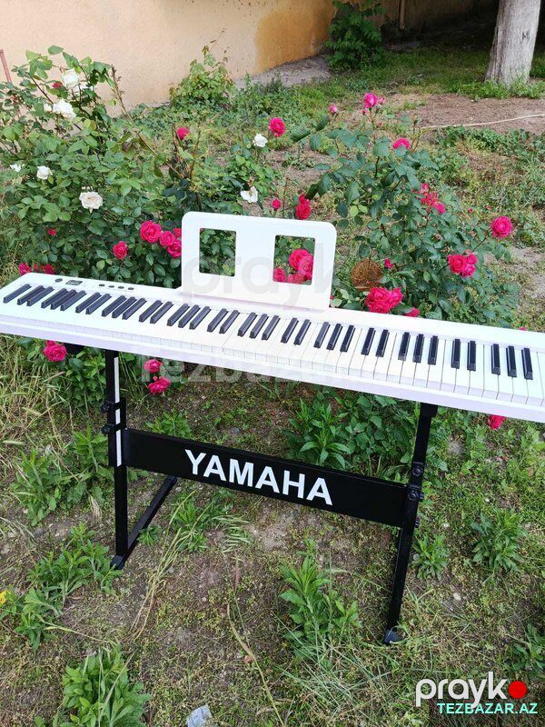Elektro pianino — Digər, Bakı (6)