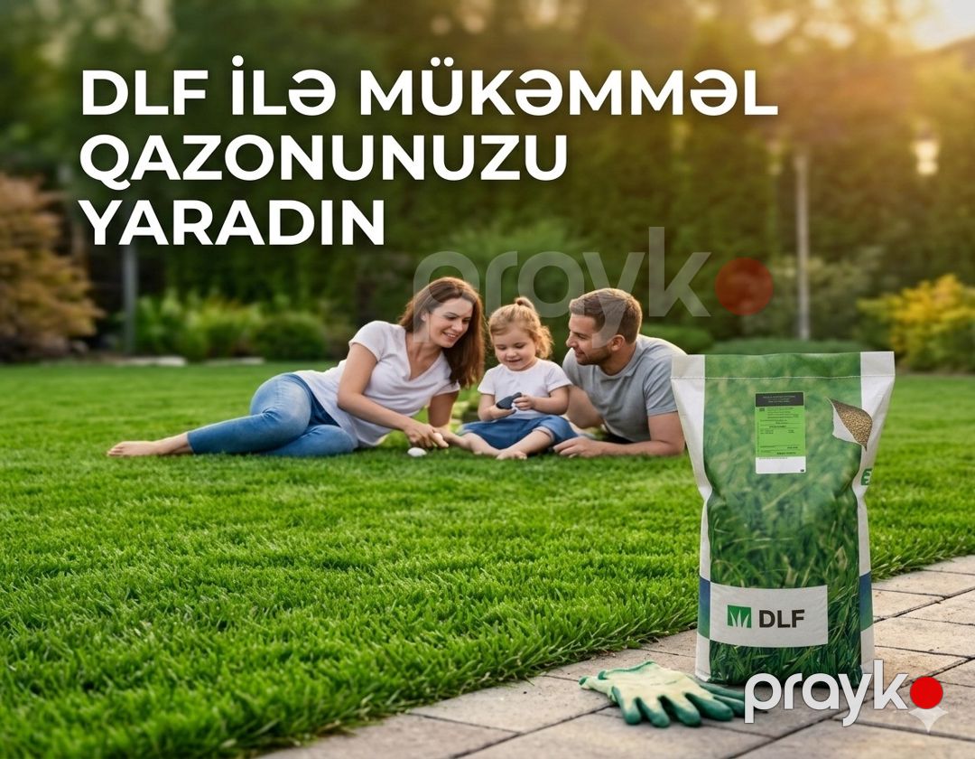Qazon otu toxumu 5 kq — Mallar, Bakı (2)