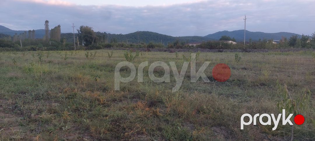 Satılır torpaq 61 sot — Torpaq, Quba (8)