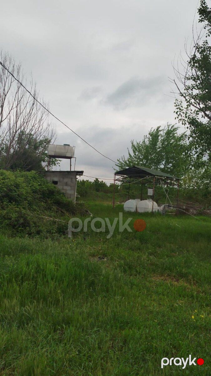 567 sot torpaq sahəsi, Şabran r — Torpaq, Şabran (5)