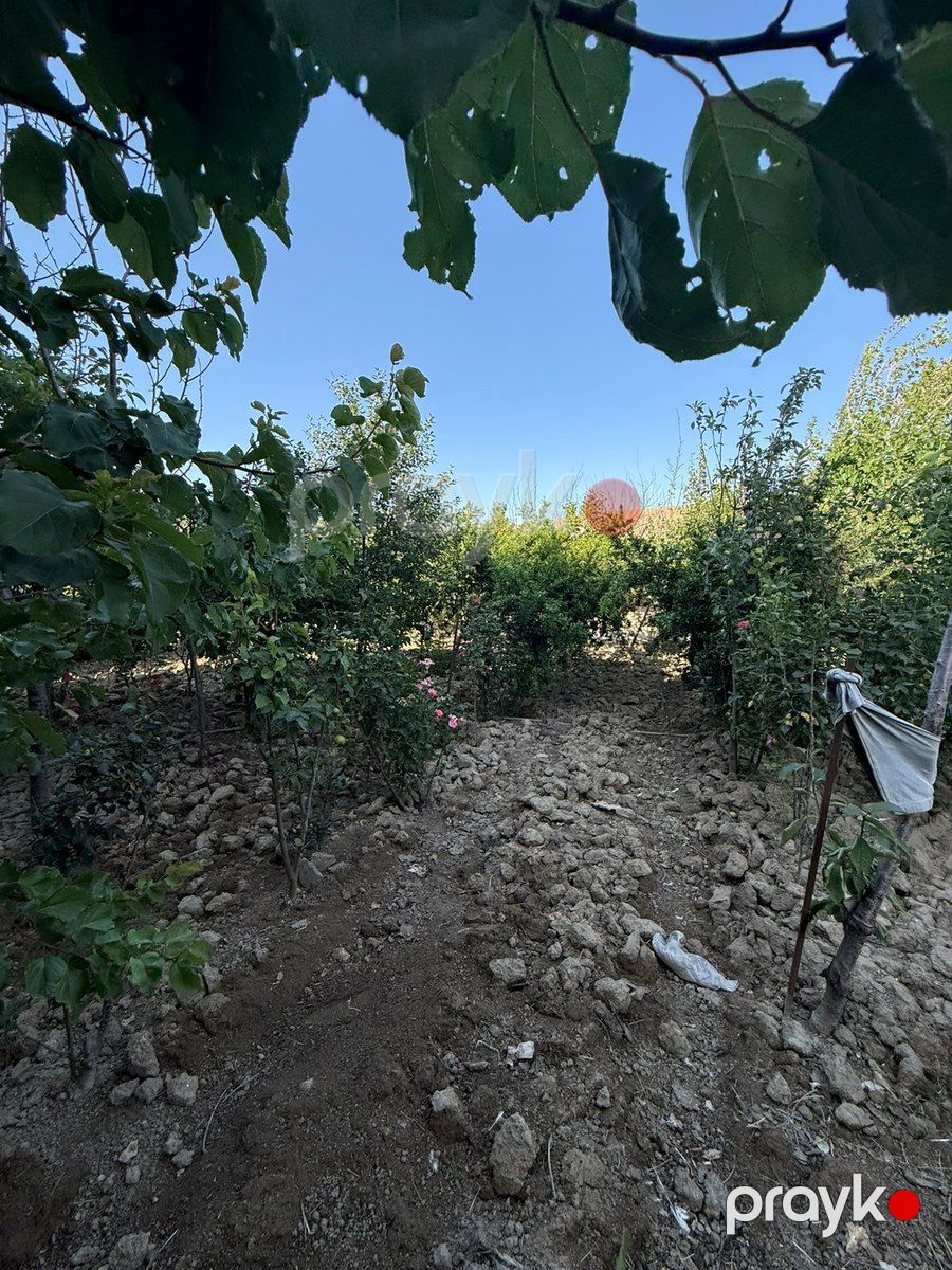 Həyət evi, Qobu qəs — Ev, villa, Bakı (4)