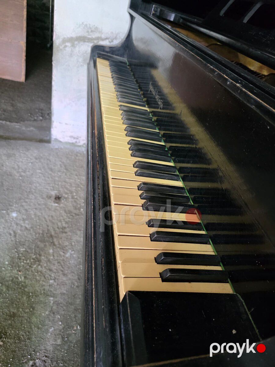 Piano Royal — Musiqiə alətləri, Astara (2)