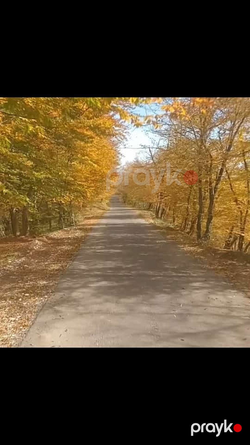 6 otaqlı, 1400 kv. m, Kredit yoxdur, Orta təmir — Ev, villa, Quba (2)