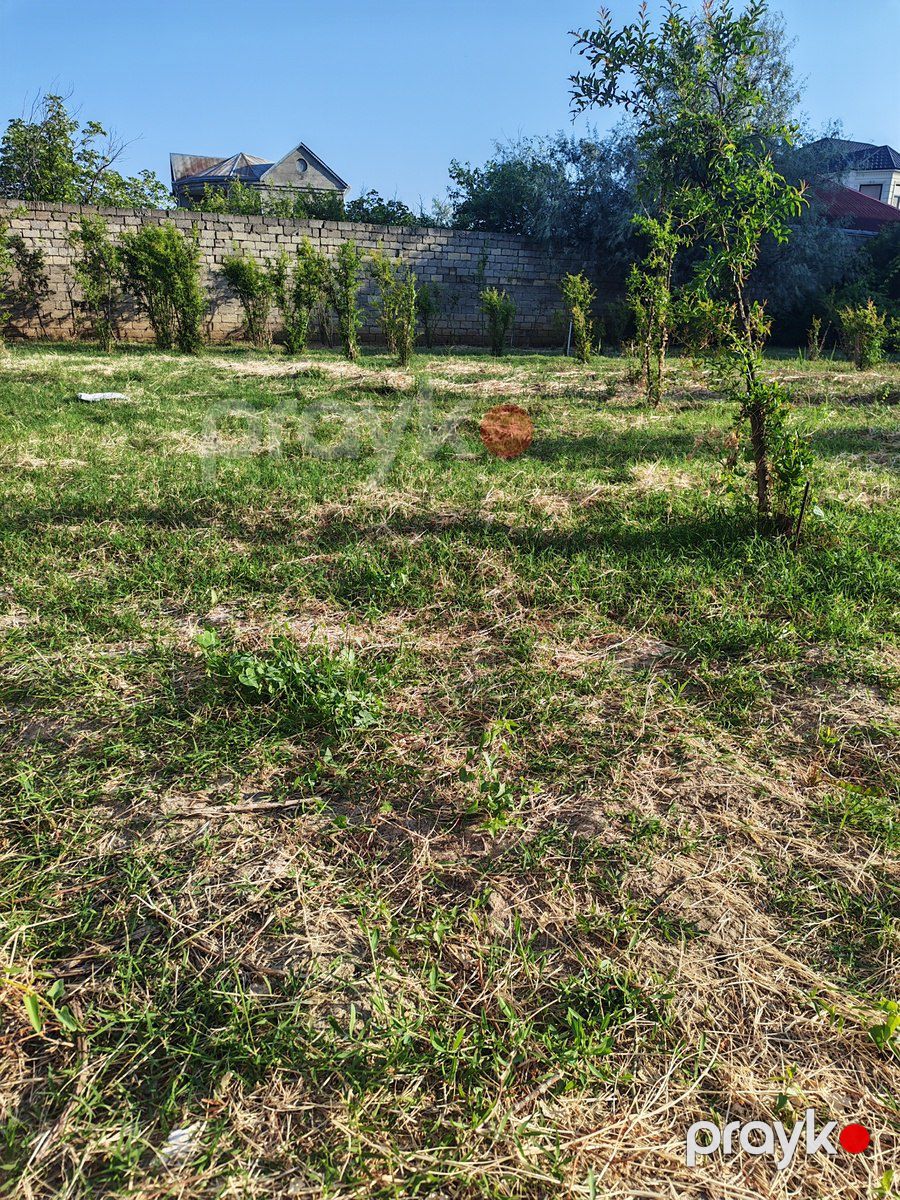 Satılır torpaq 3 sot — Torpaq, Bakı (3)