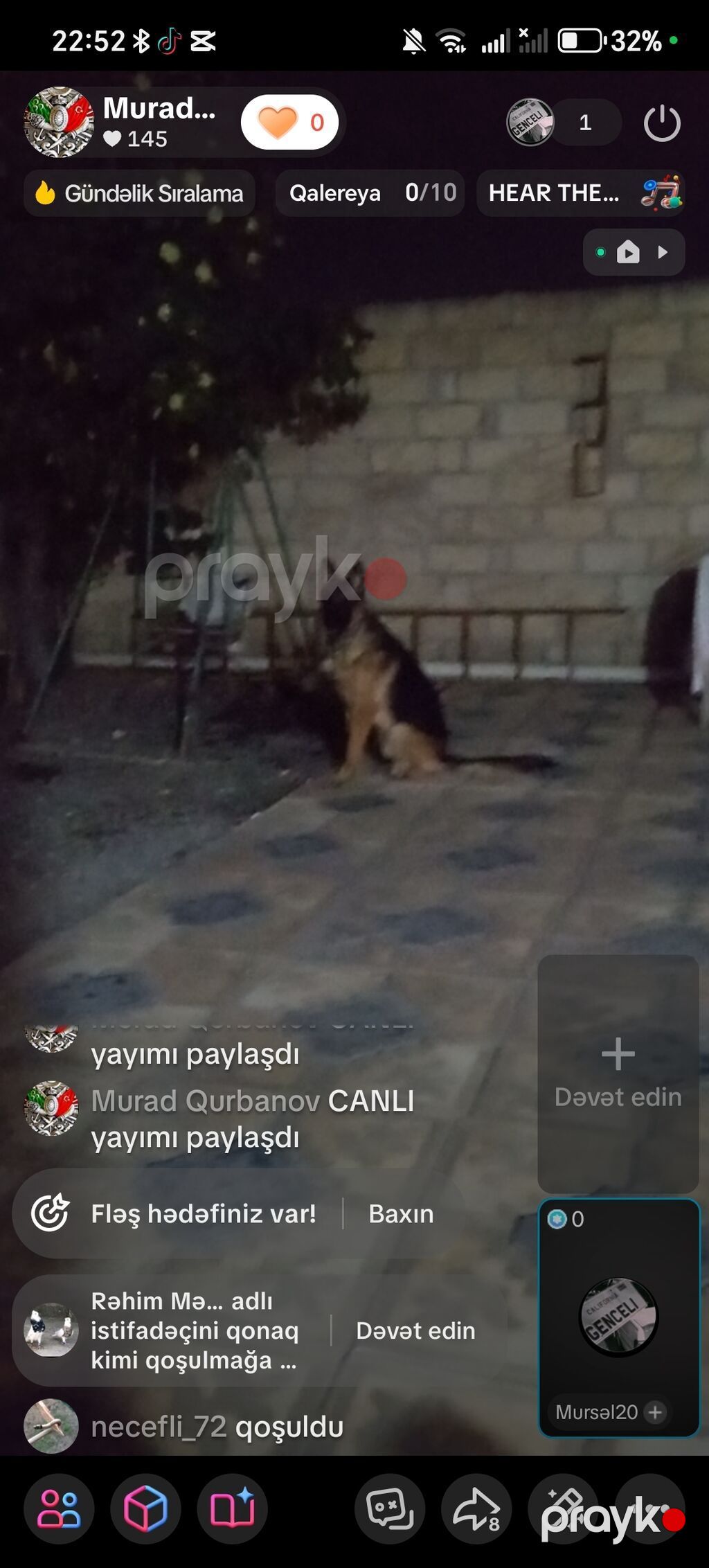 Alman çoban iti — Köpəklər, Samux (3)