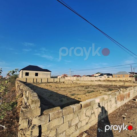 Tikinti, Mülkiyyətçi, Kupça (Çıxarış) — Yevlax