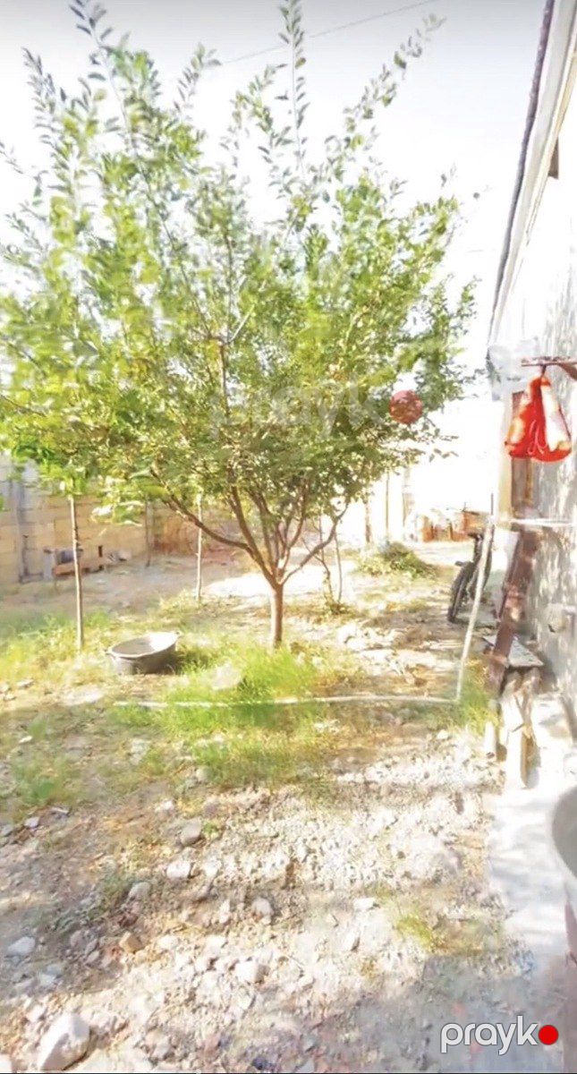 Satılır 3 otaqlı həyət evi/bağ evi 120 m² — Ev, villa, Mingəçevir (4)