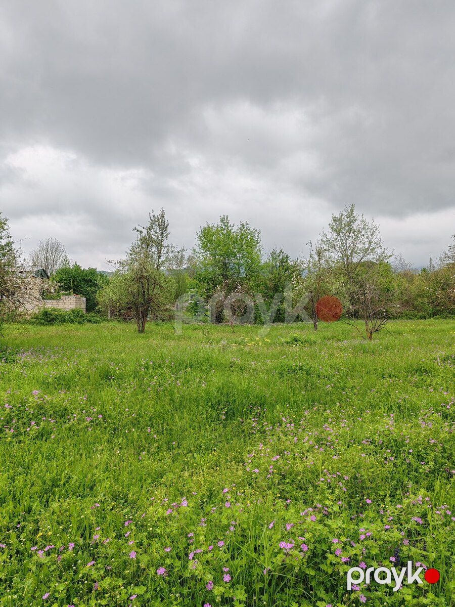 66 sot torpaq sahəsi, Qəbələ r — Torpaq, Qəbələ (5)