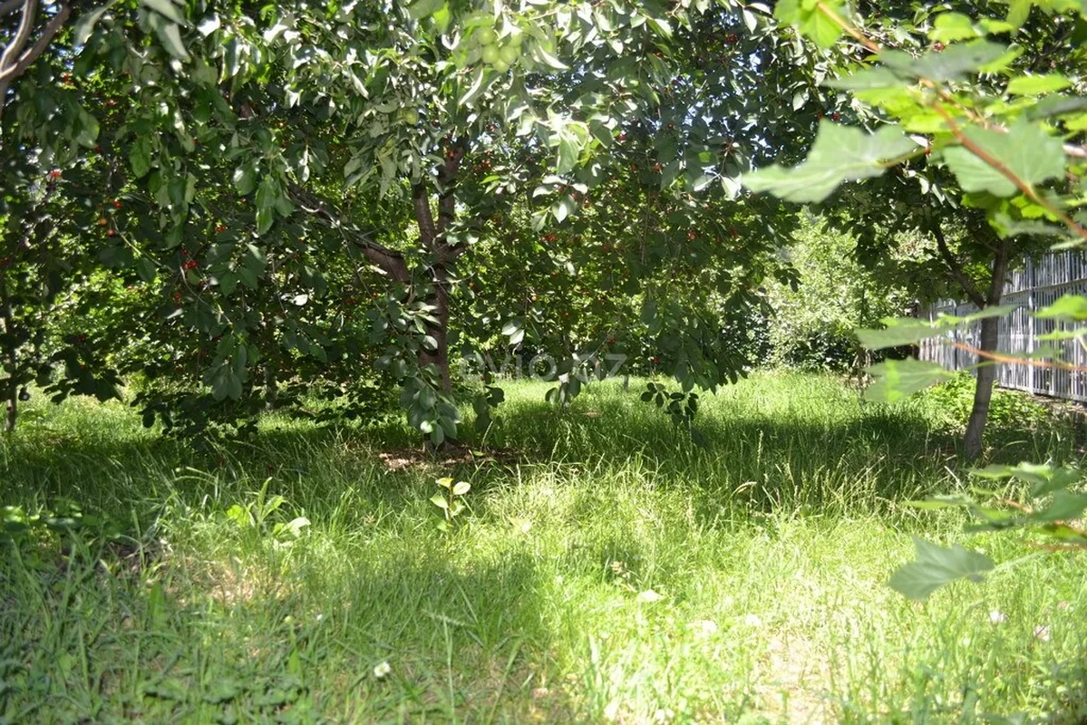 Kirayə 3 otaqlı bağ evi Qusarda — Ev, villa, Qusar (3)