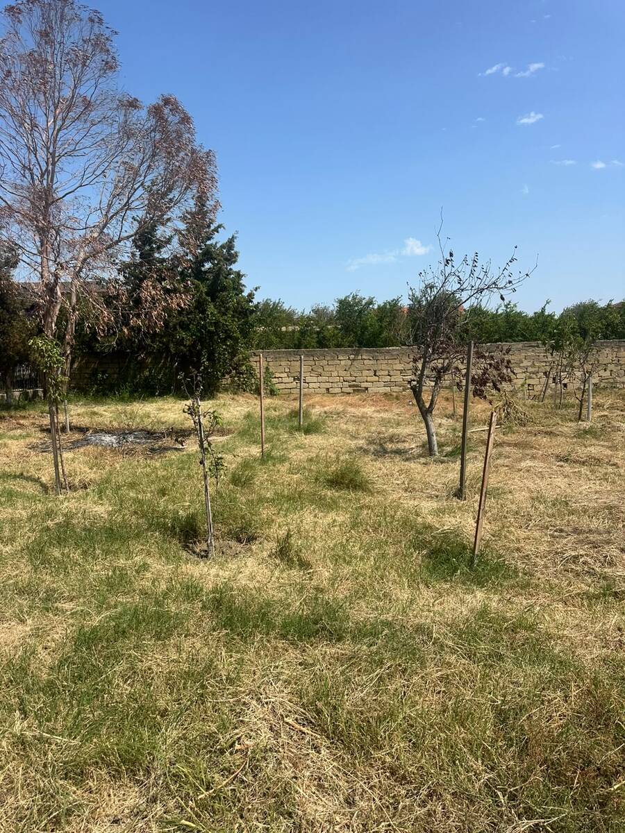 Satılır torpaq 4 sot — Torpaq, Bakı (5)