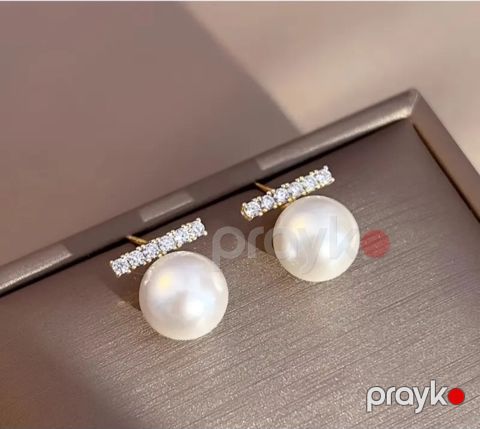 Sırğa qadınlar üçün 9519_80, paslanmayan polad — Bakı